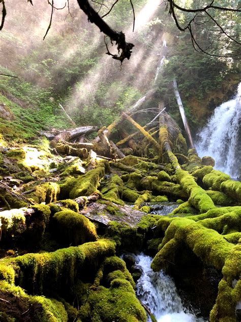 Downing Creek Falls Go Wandering