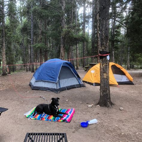 Best Camping Near Buena Vista Colorado The Dyrt