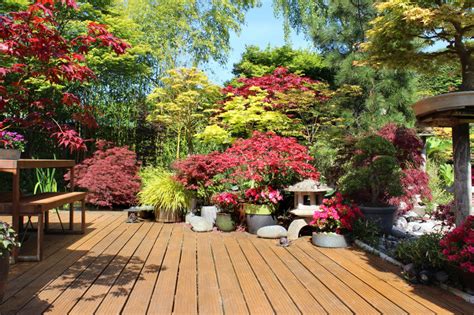Patios are typically covered areas close to a building; 35 Patio Potted Plant and Flower Ideas (Creative and ...