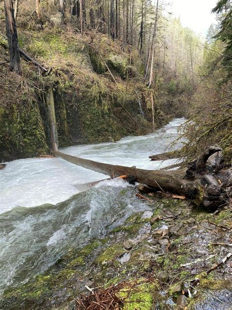 Photos Of Eagle Creek To Punchbowl Falls Closed Oregon Alltrails