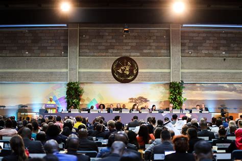 View Of The Dais During The Opening Plenary Unea Feb Photo