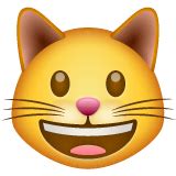 So read on to learn the secret meaning behind some of the most popular emojis. Grinning Cat Emoji — Meaning, Copy & Paste