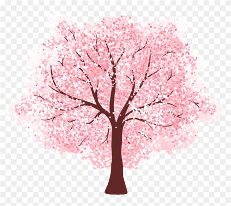 Cool Anime Sketch Cherry Blossom Tree Drawing The Teddy