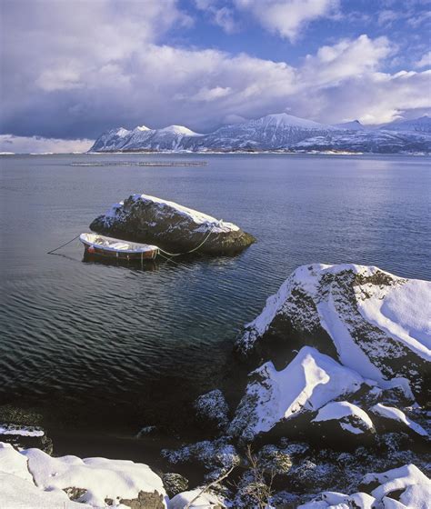 Perfect Mooring | Hamn, Senja, Norway | Transient Light