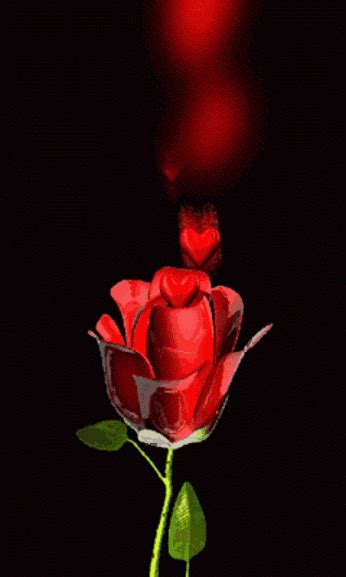 Flower Love — From Beautiful Roses Beautiful 