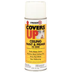 Whether you're planning to move, have adding a layer of paint and primer will also help to cover any bits of the stain that may still be showing, as well as help the new portion of ceiling blend. Zinsser® COVERS UP™ Ceiling Paint & Primer In One Product Page