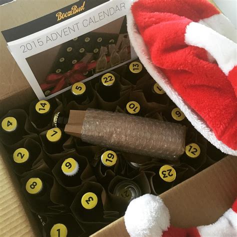 Count Down To Christmas With A Beer Advent Calendar Kitchn Diy