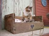 Cat Beds Made From Drawers Images