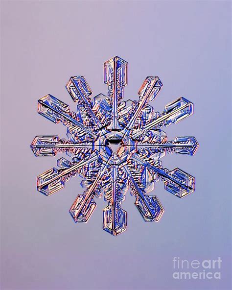 Double Snowflake Photograph By Kenneth Libbrechtscience Photo Library