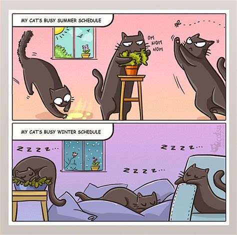 Funny Cat Comics Catsu Cat Comics Crazy Cats I Love Cats