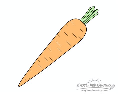 How To Draw A Carrot Step By Step Easylinedrawing