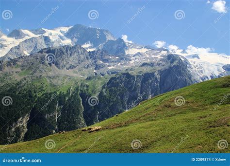 Mountain Pasture Stock Photo Image Of Flowers Huts Canion 2209874