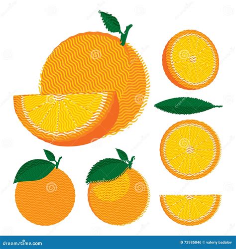 Set Of Whole And Halved Oranges With Leaves Stock Vector Illustration