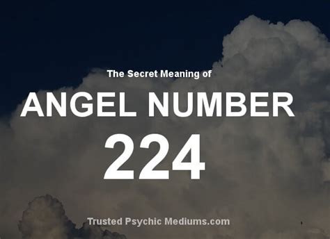 Discover What Angel Number 224 Means For Your Future