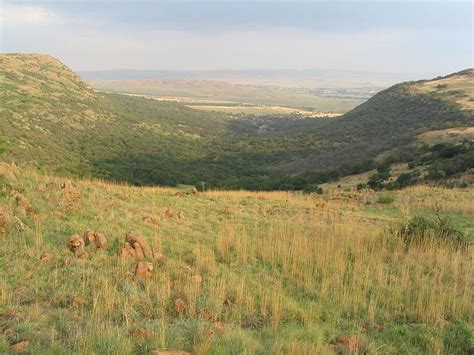 Suikerbosrand Nature Reserve Bicycle South