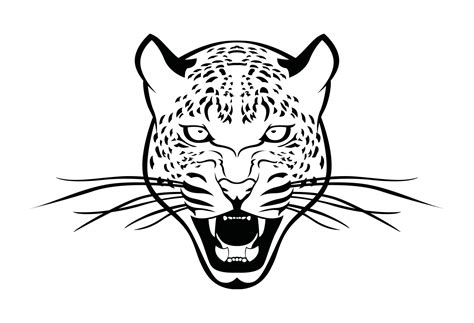 Leopard Drawing And Sketch 2121367 Vector Art At Vecteezy