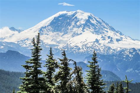 Mt Rainier Stock Photos Pictures And Royalty Free Images Istock