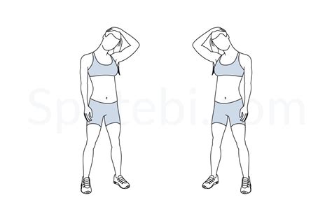 Neck Stretch Illustrated Exercise Guide