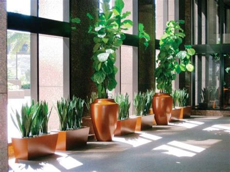 Interior Design Trends 2015 Interior Design Plants Interior Plants