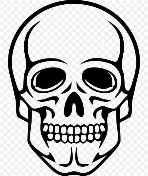 Human Skull Symbolism Human Skeleton Clip Art Png 732x980px Skull