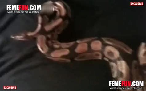 Snake Coming Out Of Her Dark Hole