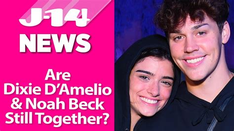 Are Dixie Damelio And Noah Beck Still Together The Couple Talks