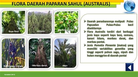 Flora Indonesia Bagian Tengah Beserta Gambarnya Ahmad Marogi