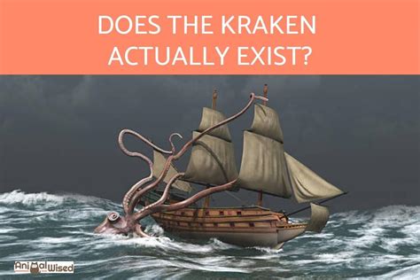 Does The Kraken Exist Was It Ever Real