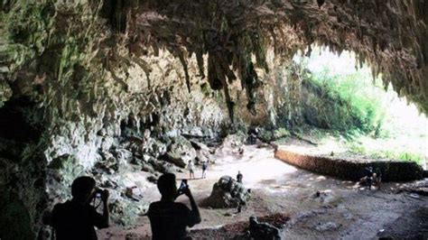 Fosil Manusia Kerdil Yang Ditemukan Di Gua Liang Bua Ntt Diduga Berasal