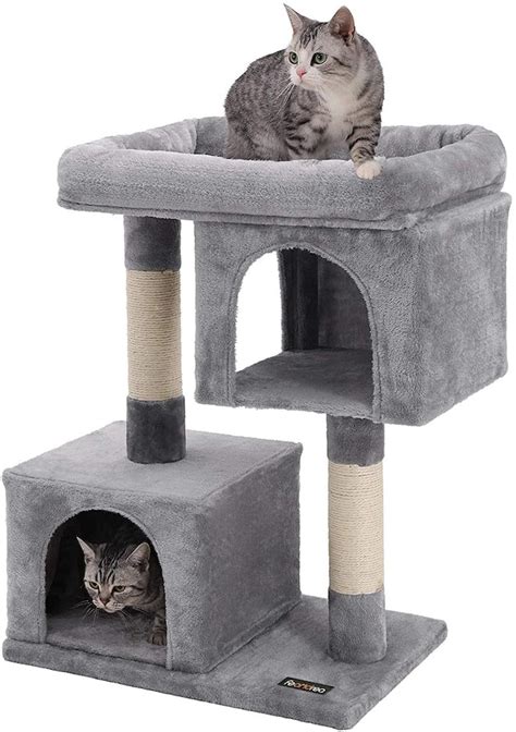 The 9 Best Cat Trees For Large Cats In 2022