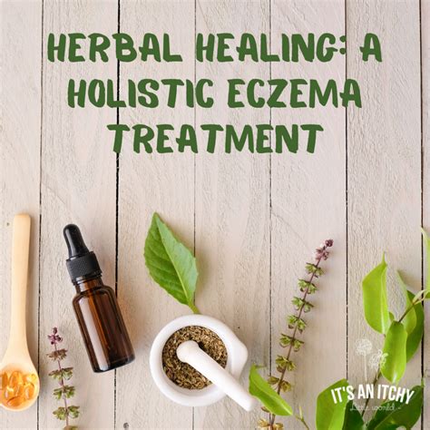 A New Type Of Holistic Eczema Treatment Its An Itchy Little World