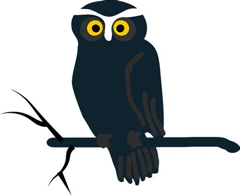 Black Owl On Branch Clipart Free Download Transparent Png Creazilla
