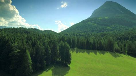 Beautiful Picturesque Nature Meadow Lush Evergreen Forest