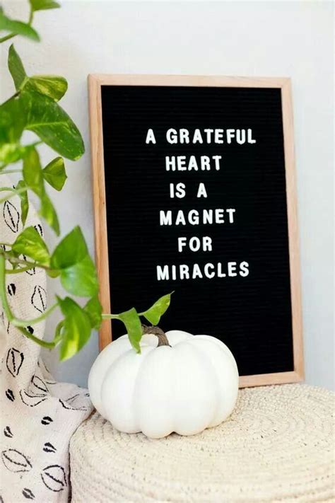 I personally love the funny sayings that make you giggle and think, oh so true! but i also enjoy holiday sayings and inspirational quotes. Pin by LeighAnne Lockerbie on Letterboard Logic ...