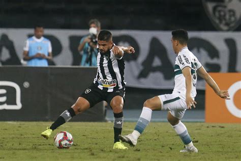 Náutico X Botafogo Time Deve Ter Uma Novidade Veja Provável Escalação Fogo Na Rede