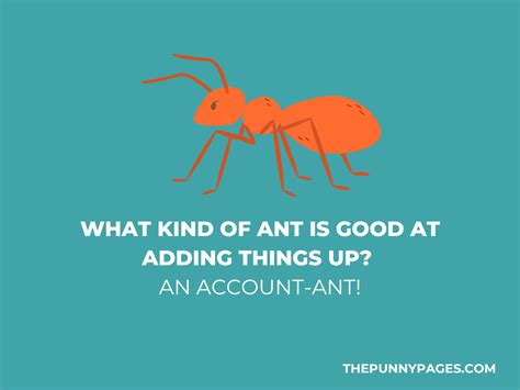 100 Funny Ant Jokes And Puns Thepunnypages