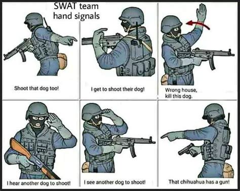 Swat Team Hand Signals Ar15com