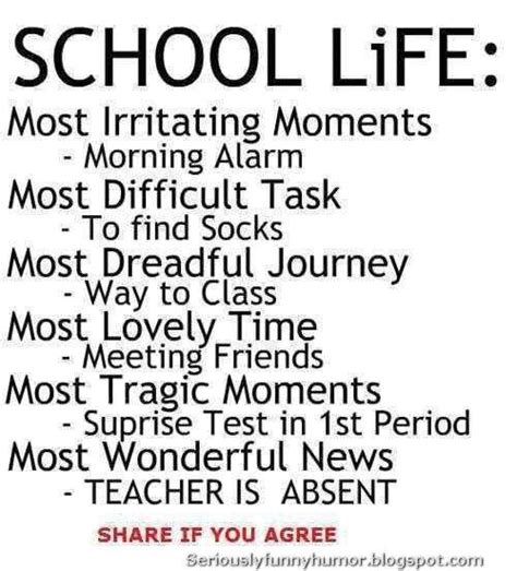 Quotes About School Life And Friends