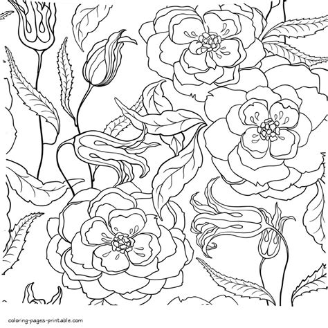 Free Printable Flower Adult Coloring Pages Coloring Pages Printablecom