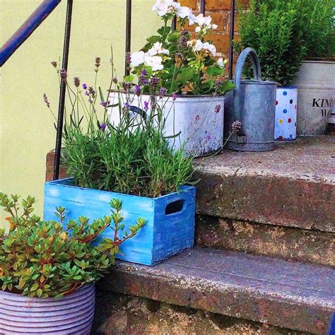 Love Your Pots 25 Inspiring And Practical Ideas For Container Gardens
