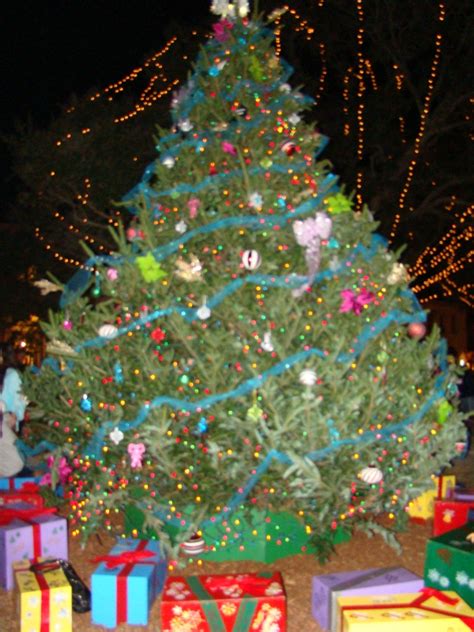 Maybe you would like to learn more about one of these? St Augustine's Nights of Lights 2015