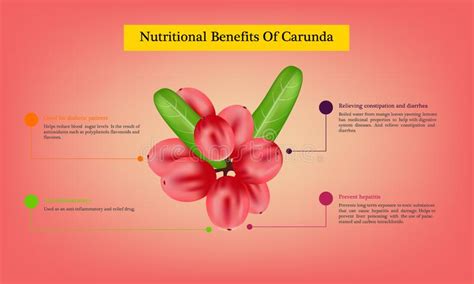 Beneficios Nutricionales De La Infograf A Mangostina Sobre Los