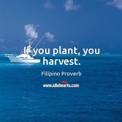 If You Plant You Harvest — Filipino Proverb Plants Harvest Proverbs