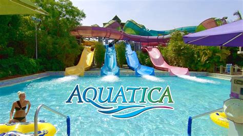 Aquatica Orlando 2020 Water Park Florida Full Walking Tour Youtube