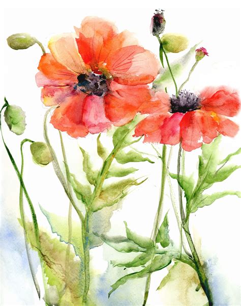 Spring Sale Red Poppy Print Watercolor Poppy Painting Etsy