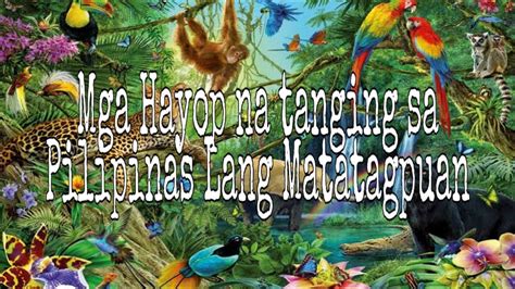 Mga Hayop Na Tanging Sa Pilipinas Lang Matatagpuan Endemic Species Of