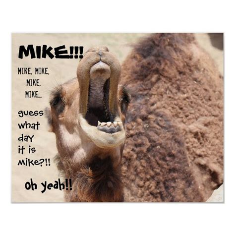 Funny Camel Hump Day Guess What Day It Is MIKE Poster Zazzle Hump Day Quotes Camels