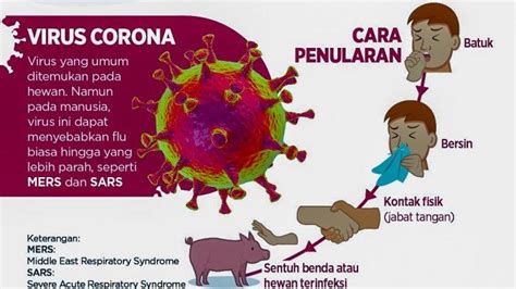 Ada beragam gejala yang bermula dari gejala ringan. PENJELASAN Lengkap Tentang Virus Corona COVID-19, Dari ...