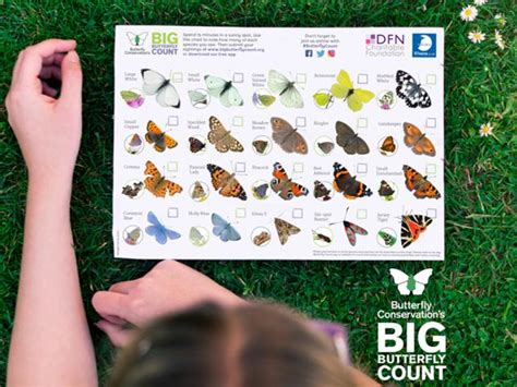 Big Butterfly Count School Resources Butterfly Conservation