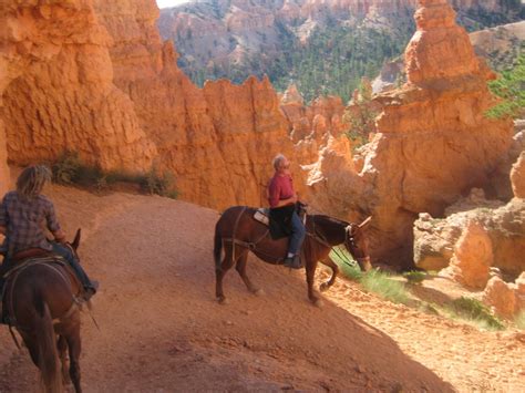 Westward Bound Day 8 Bryce Canyon Horseback Riding